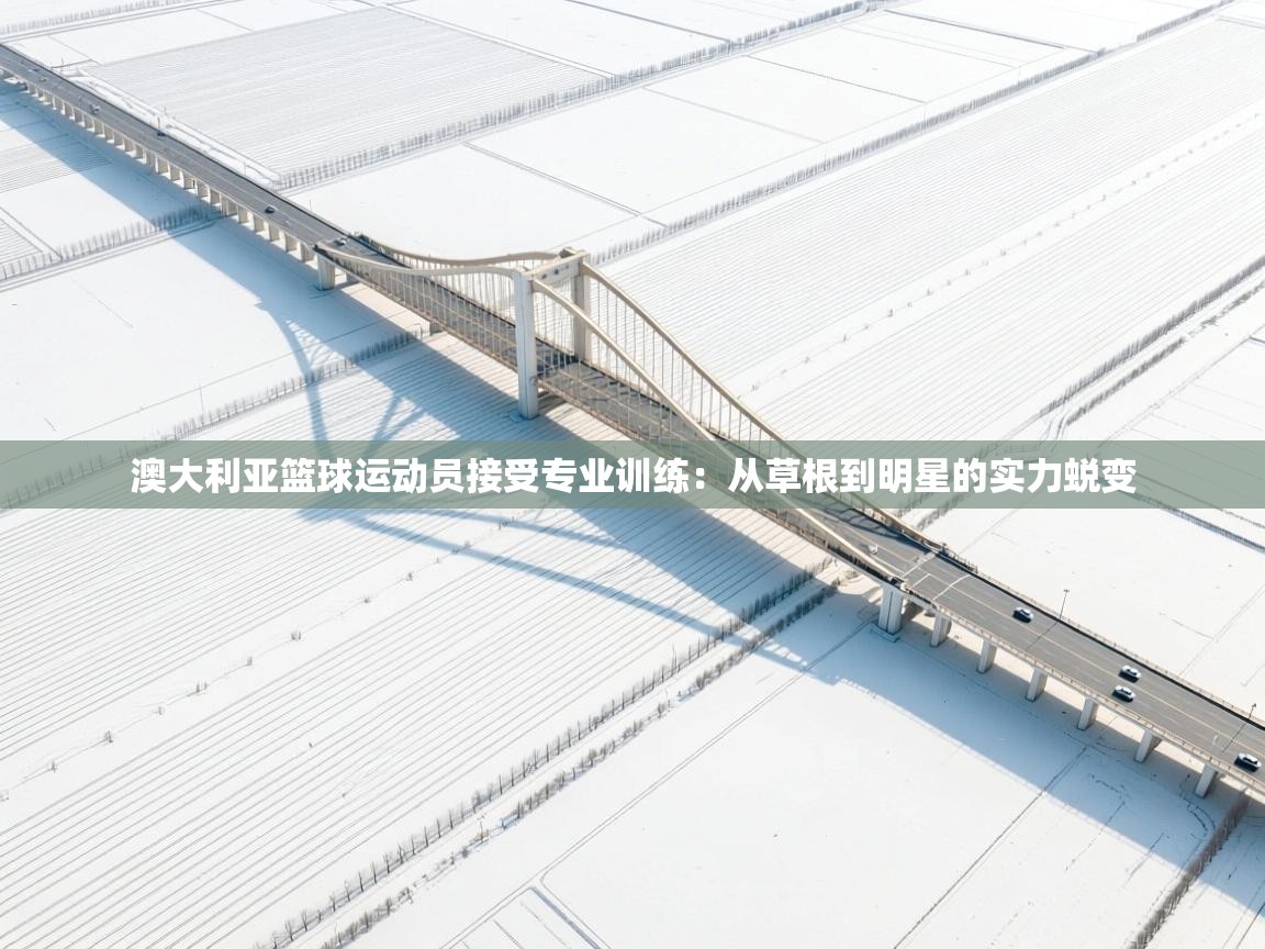 澳大利亚篮球运动员接受专业训练：从草根到明星的实力蜕变